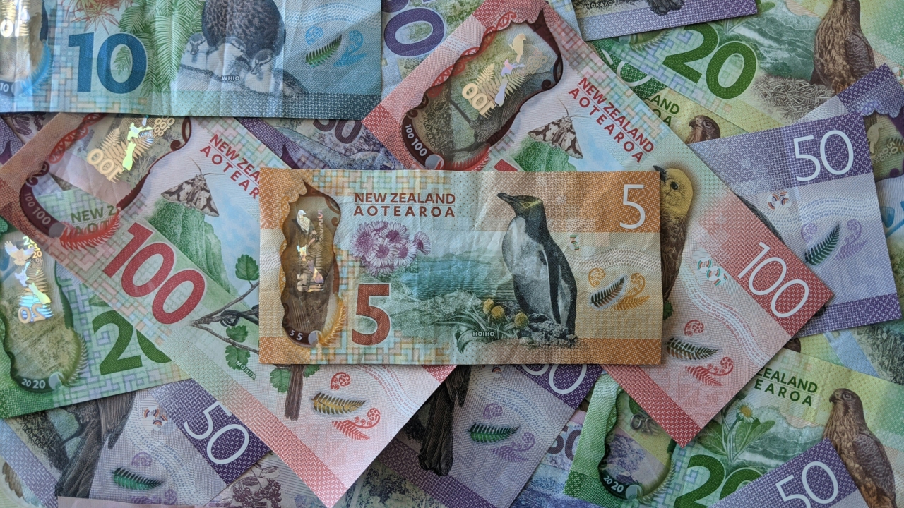 A messy pile of New Zealand currency topped by a crinkled $5 bill