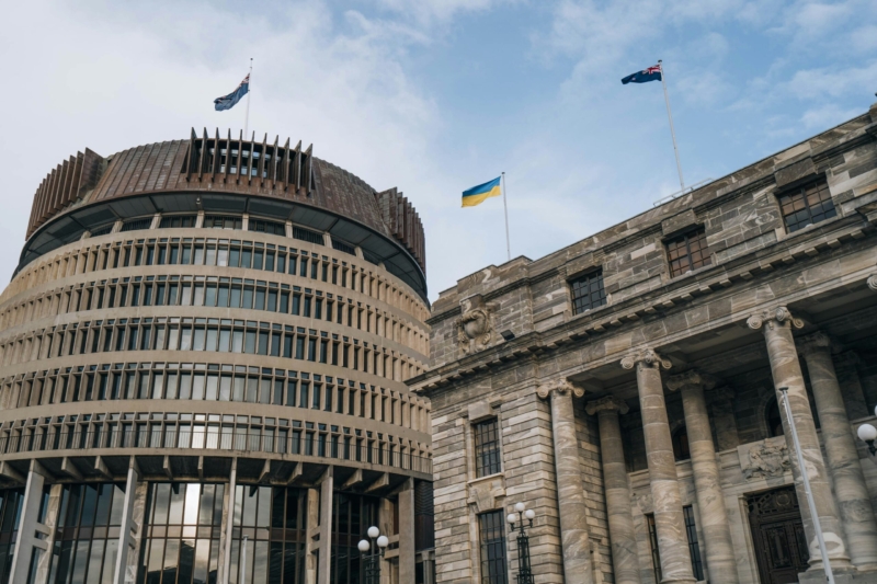 Parliament pic for Standing Orders submission 2025
