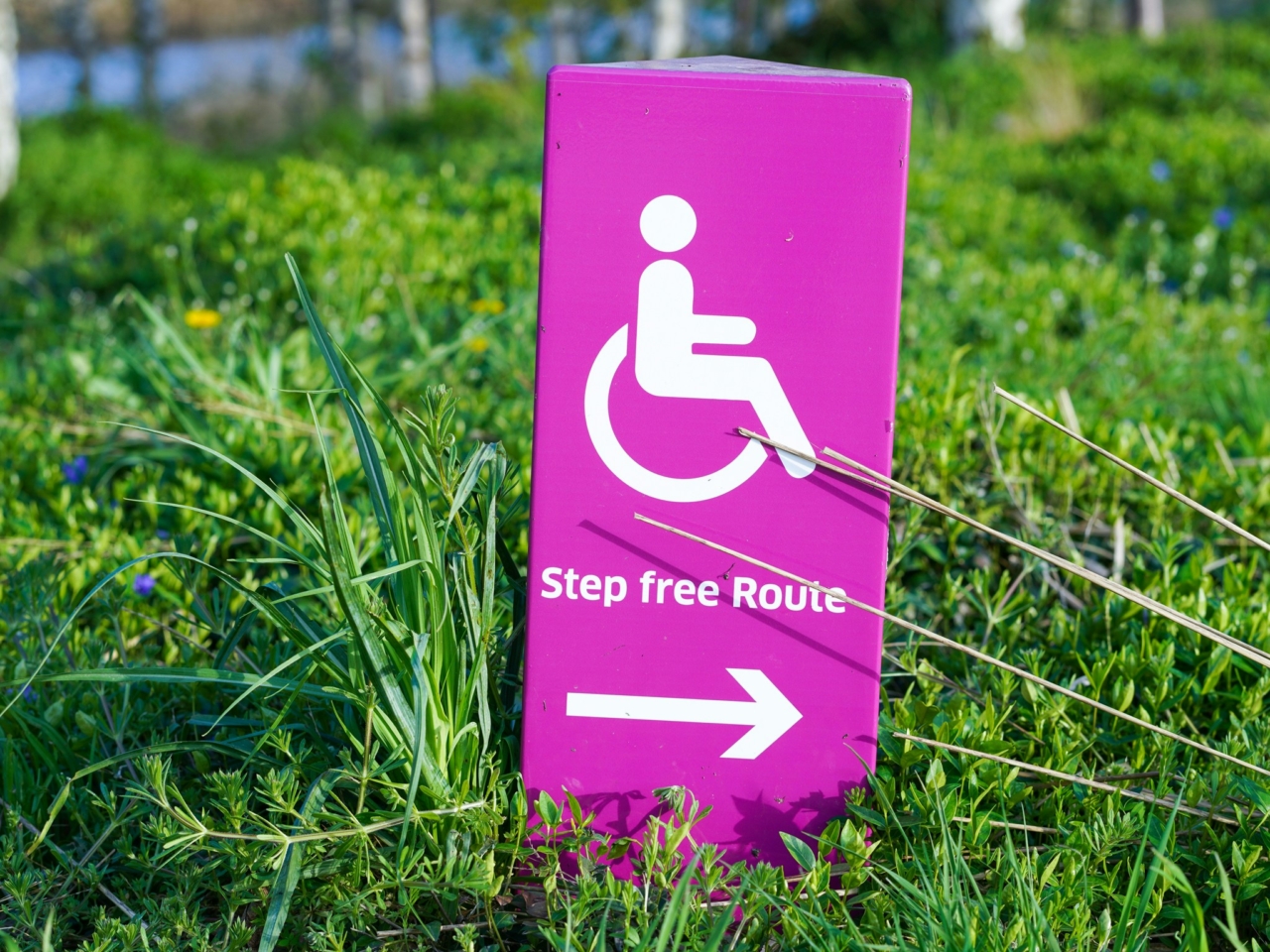 Pink wheelchair route sign on green grass