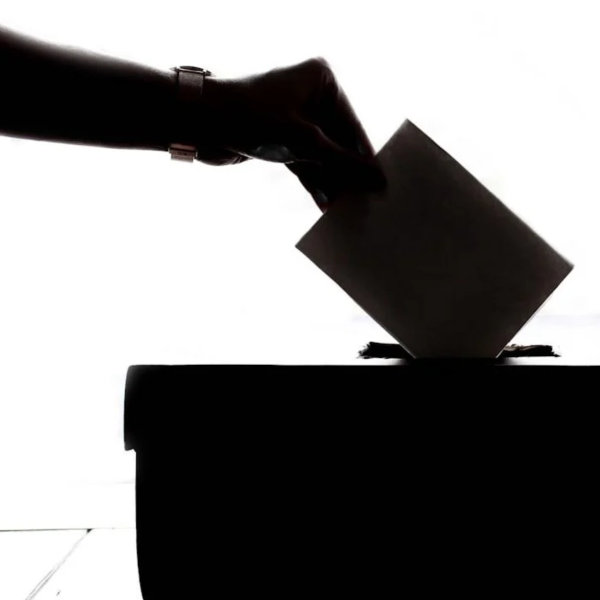 Hand putting vote into ballot box. Silhouette